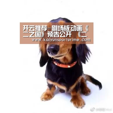 开云推荐-剧场版动画《二之国》预告公开 《二之国》剧情结局是什么(图3) 开云赛事