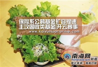 保险系公募基金扩容提速 主攻固收类基金|开云赛事(图2) 开云赛事