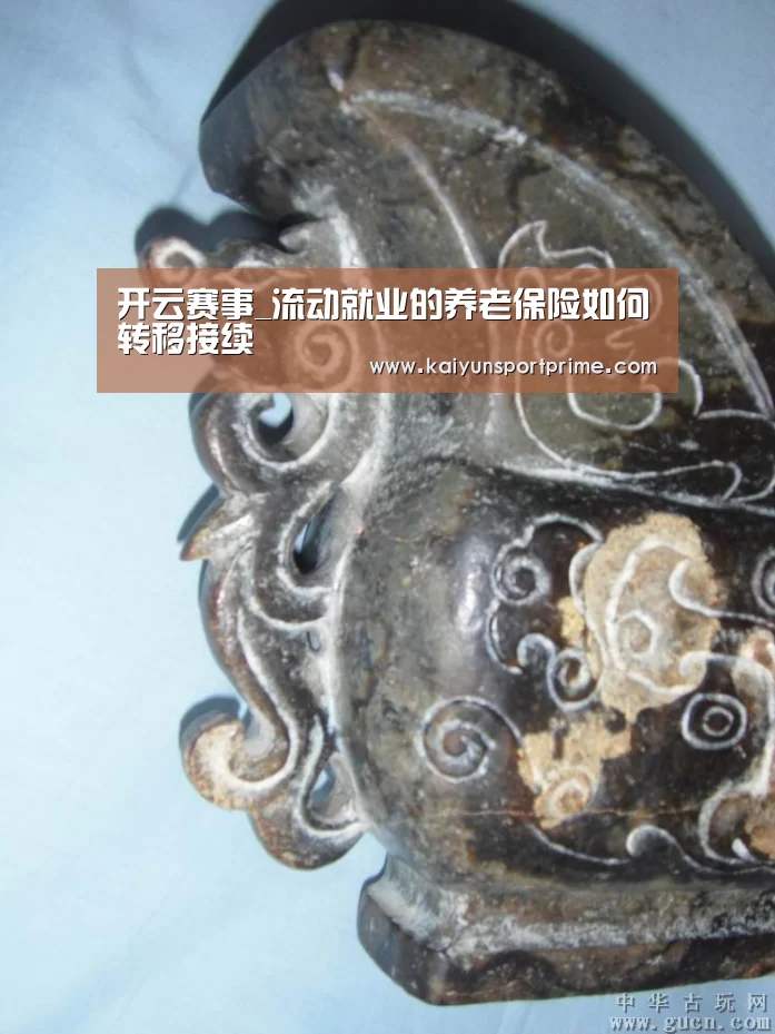 开云赛事_流动就业的养老保险如何转移接续(图2) 开云APP