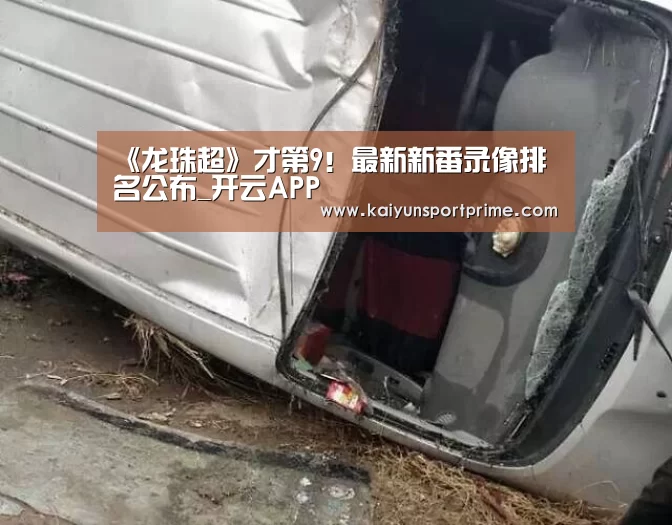 开云入口