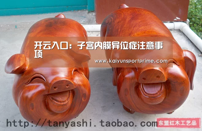 开云入口:子宫内膜异位症注意事项(图4) 开云推荐