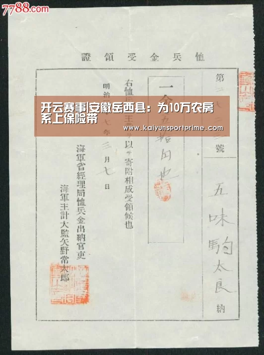 开云赛事|安徽岳西县:为10万农房系上保险带(图3) 开云APP